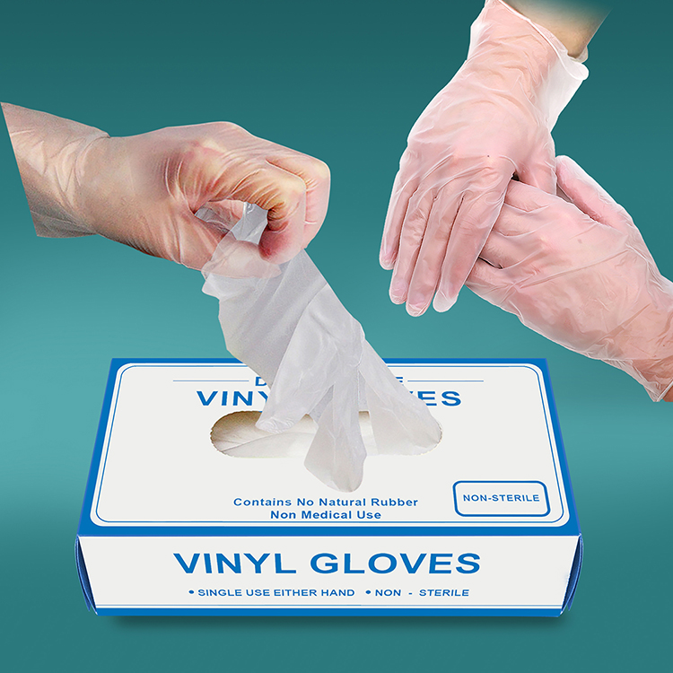 Large Pair Vinyl Gloves Large Pair Vinyl Gloves